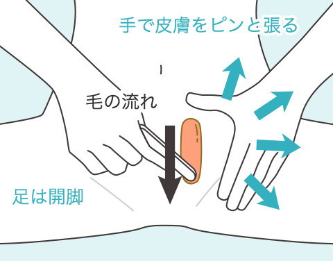 Vライン