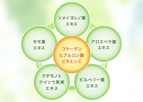 5種種類の植物エキスと3つの新成分